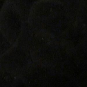 Meet your Posher, Rod